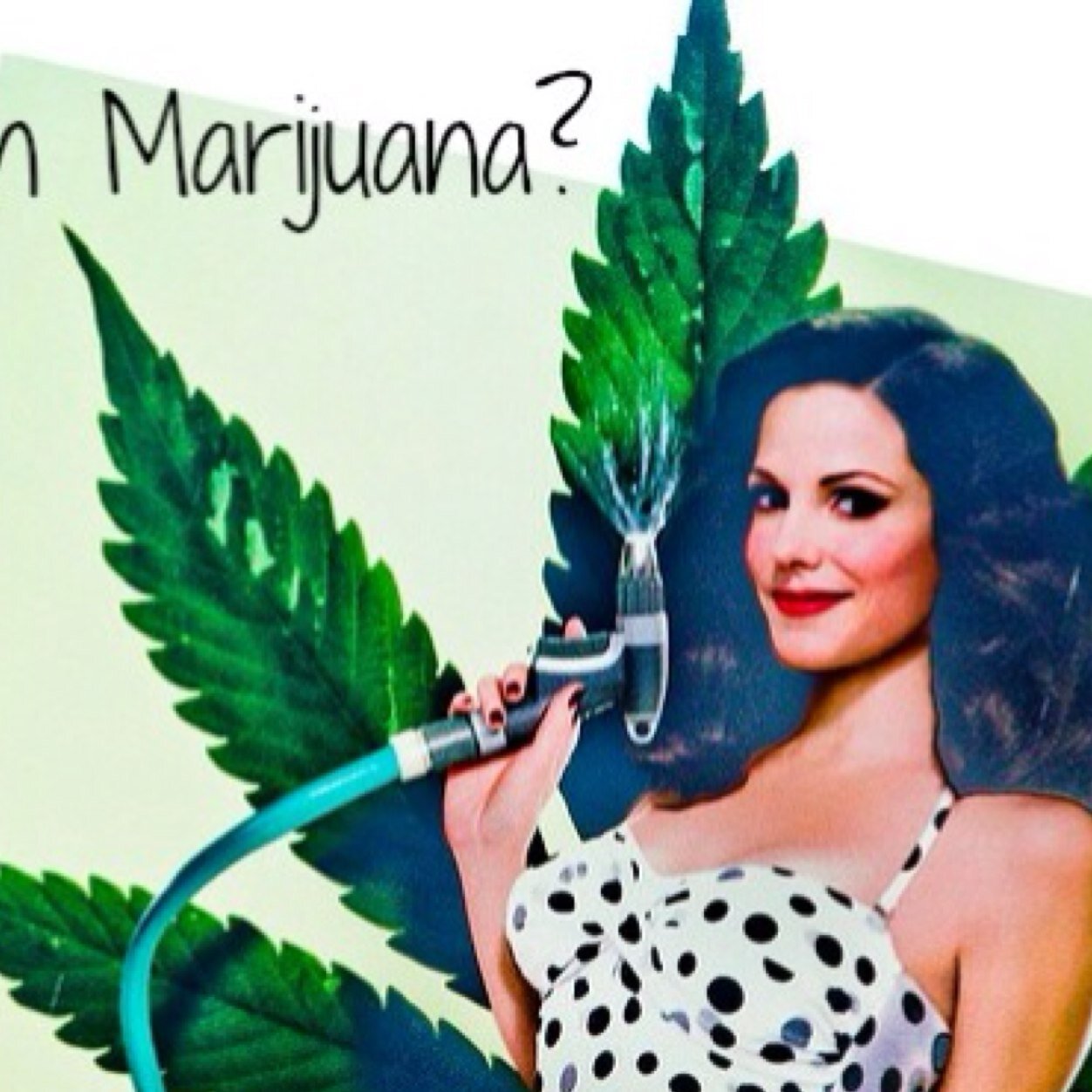 SELFMADE DAYTRADER/INVESTOR the Marijuana...and stuff