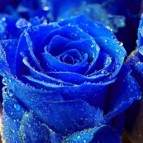 ~ALL BEAUTIFUL SOUL`S OUT THERE~
~I HAVE A STRONG PASSION 4~
~MUSIC, WRITING MUSIC, FASHION, LOVE,   LAUGHTER, HAPPIENESS & 
~COMPASSIONATE POSITIVE PEOPLE~