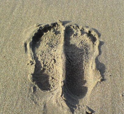 Three acres private beach calm, untouched coastline Events, Themed & family holidays. Therapy, meditative breaks recharge emotional as well as physical side
