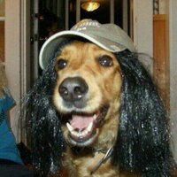 Dan Skip Harris (@dan_skip) 's Twitter Profile