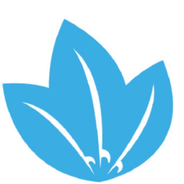 jerseyfreeride's profile picture. 