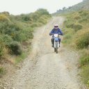 Georgina Lambert - @zippycrf14 - Twitter