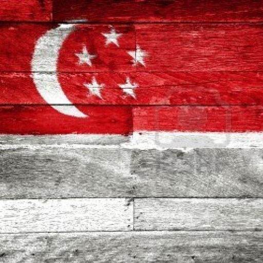 Follow me and retweet my tweets to gain singaporean followers.