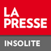 LP_insolite (@lp_insolite) Twitter profile photo LP_insolite (@lp_insolite) Twitter profile photo