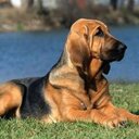 Edson Guzmán - @edson_gili - Twitter