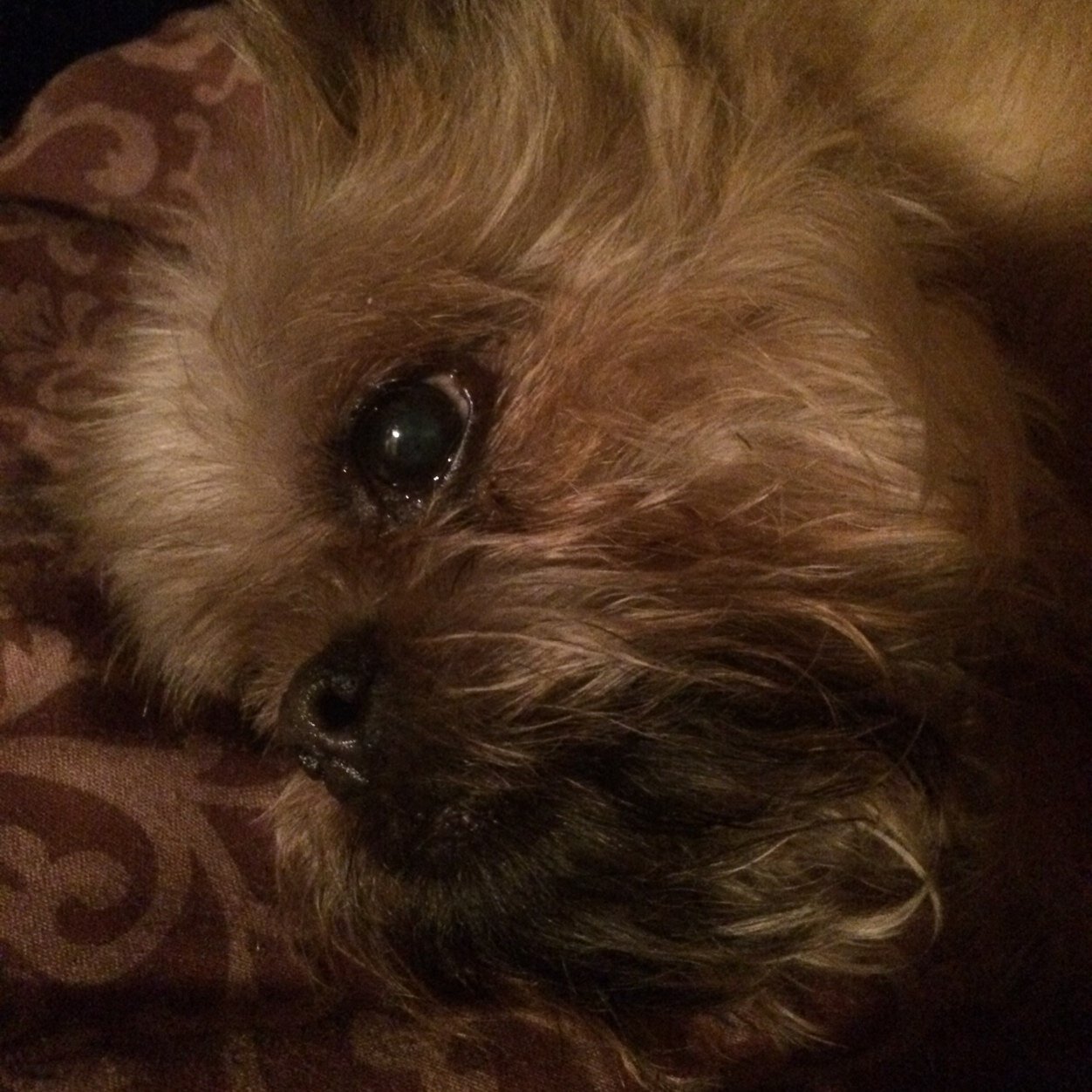 War_Tap's profile picture. 