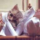 Honeys Amira (@000114030962) Twitter