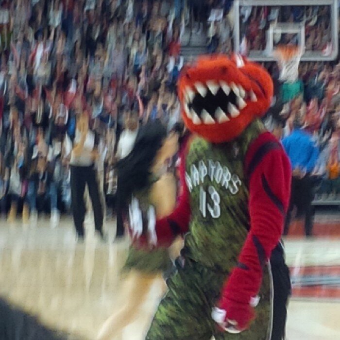 ierullo_bruno's profile picture. 