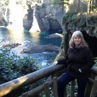 Jana Scribner (@scribner2014) 's Twitter Profile