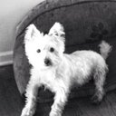 Ellen Frederick - @efrederick0413 - Twitter