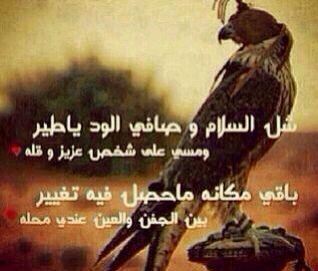 رنين اليل