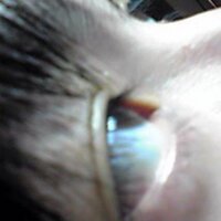 佐野徹夜 (@dame_murahito) 's Twitter Profile Photo 佐野徹夜 (@dame_murahito) 's Twitter Profile Photo
