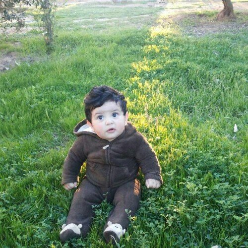 المساعید