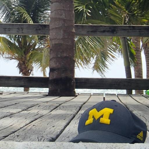 Pediatrician in Indianapolis with a heart for all things Michigan-  Go Blue!