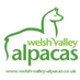 Welsh Valley Alpacas (@wvalpacas) Twitter profile photo