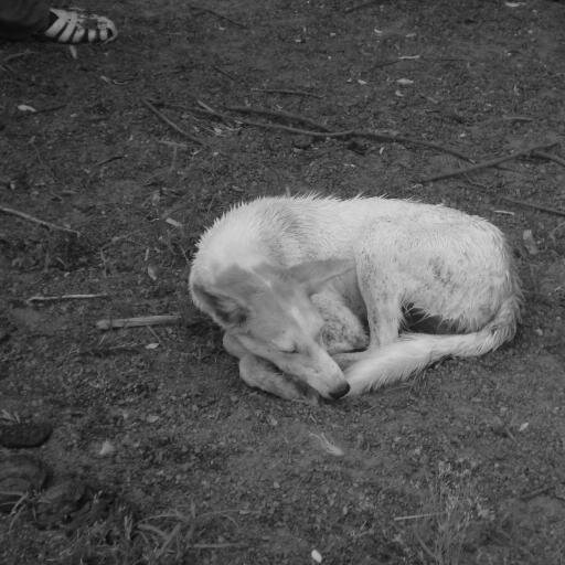 GaspardCasse's profile picture. Gaspard Cassé  #Photographie - #Photography - https://t.co/KK7mvgxi4R
https://t.co/PwZaAkACuB