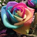 Hazel - @HazelKatz77 - Twitter