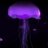 vampire_jalu's profile image