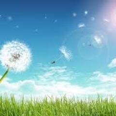 manycharms's profile picture. 