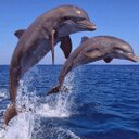 antonia maria calder - @antoniamariac26 - Twitter