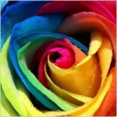 stela_felicitas's profile picture. 