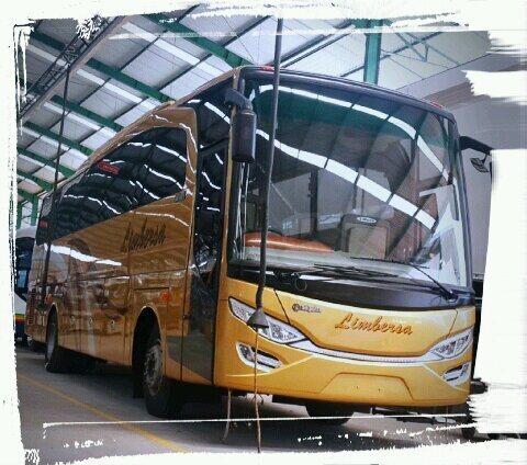 'The best tourism bus city of palembang'