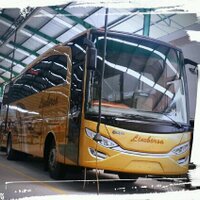 LimbersaLovers (@limbersalovers) 's Twitter Profile