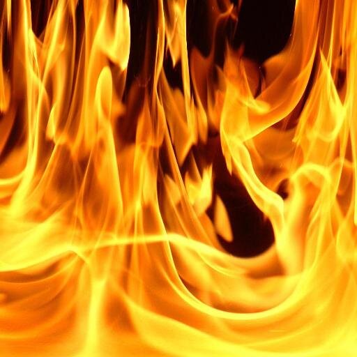 Incendioforesta's profile picture. incendio forestal cde - aca nadie se salvaa