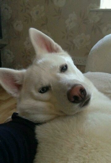 jobale1960's profile picture. 