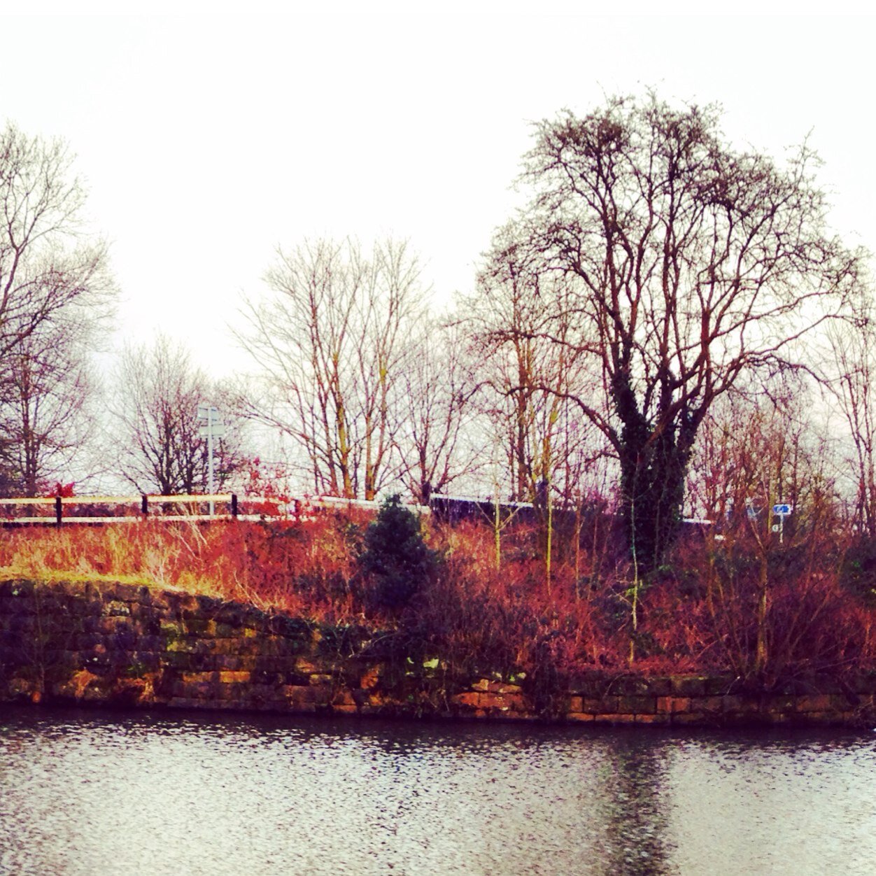 READBIO66925173's profile picture. Hi, since i gave you a free follow please go follow @jakewoodss! Thanks ☺️