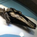 paul rocheleau - @paulrocheleau12 - Twitter