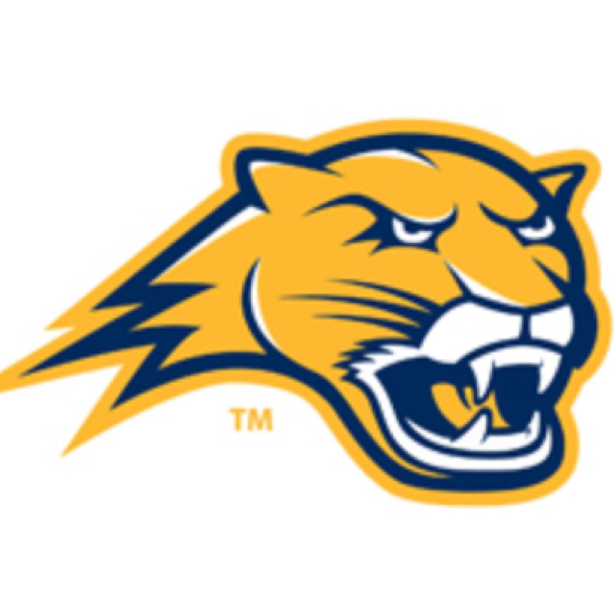 Home of Averett University's campus recreation and intramural sports