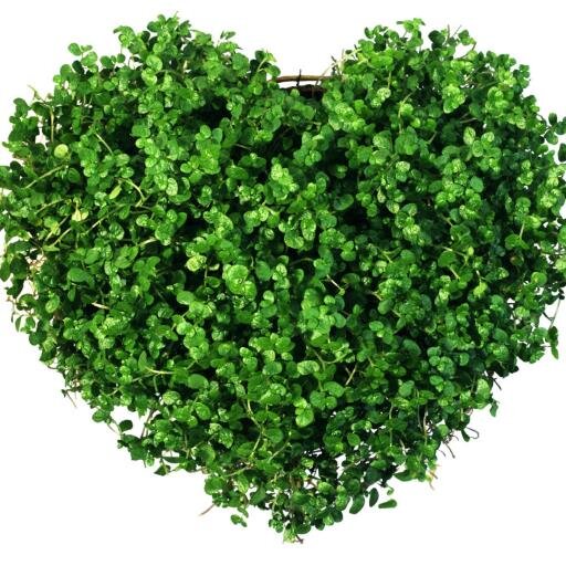 trixiewitt's profile picture. Loves camp fires, the cold side of the pillow, human rights, chocolate cake, and the twitter bird. Does not like writing this profile.