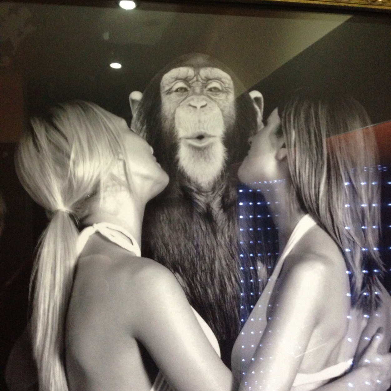 johndi295's profile picture. 