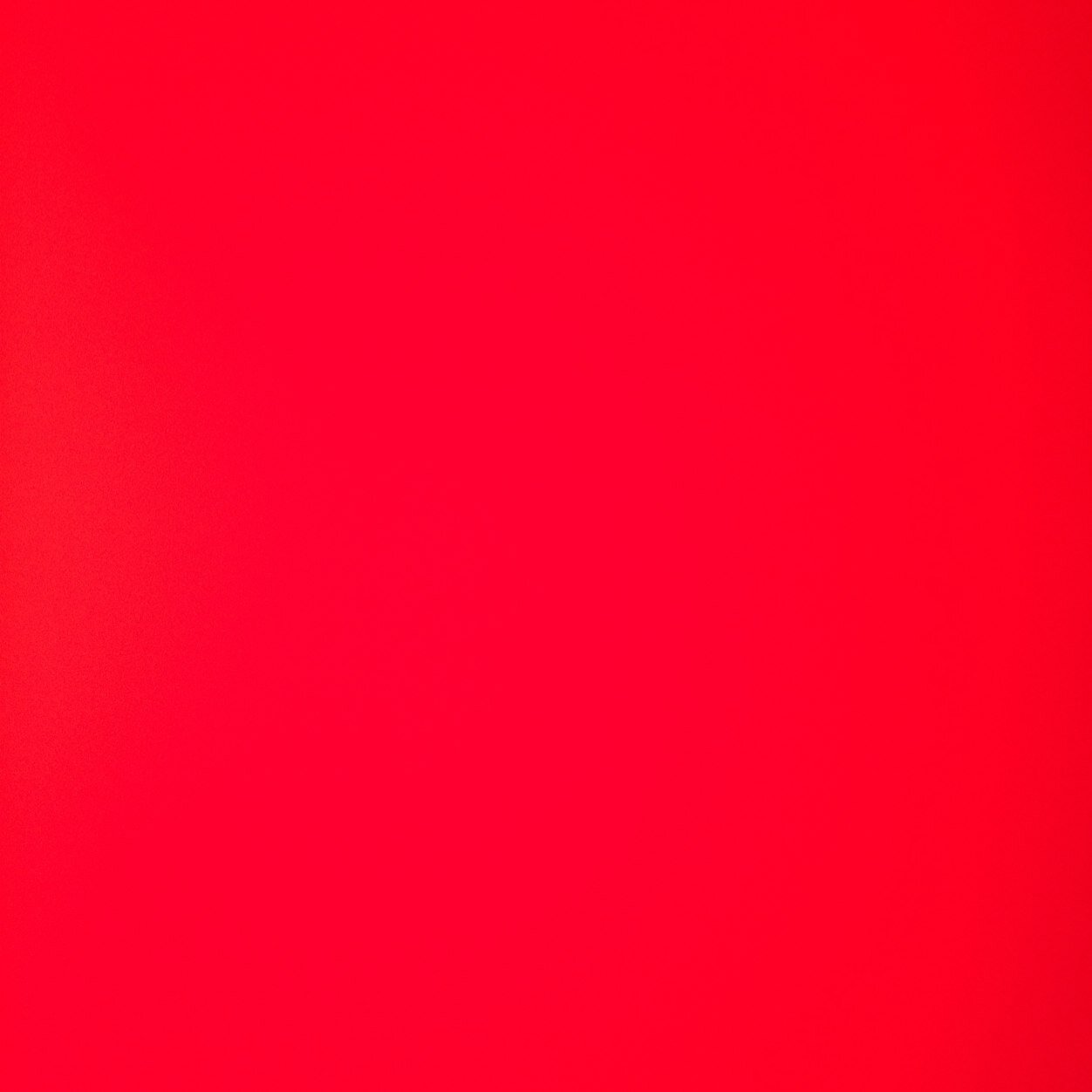 nolovedear's profile picture. 