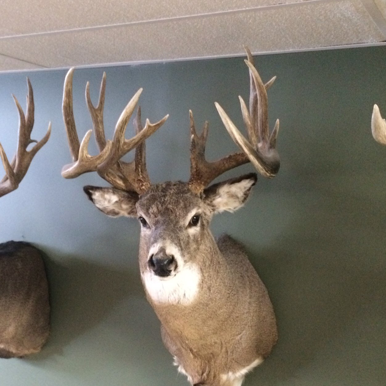 mkroeger11's profile picture. 