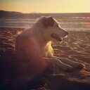 daniel cunha - @danielcunha26 - Twitter