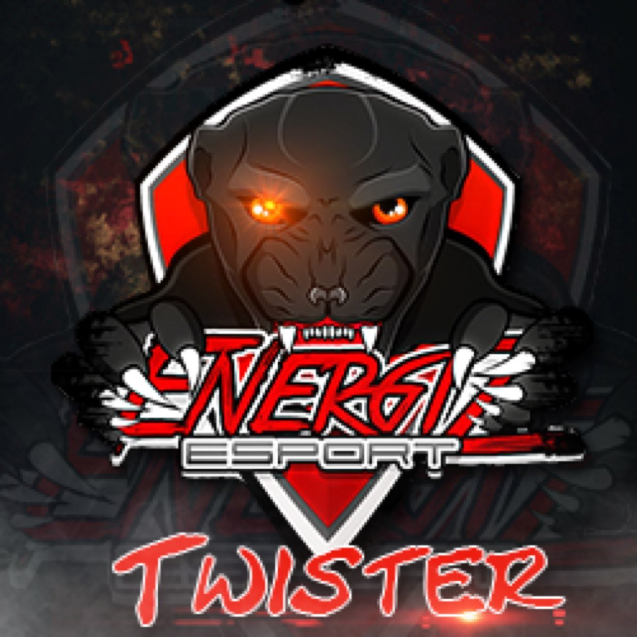EnerGiz_Twister's profile picture. Joueur FIFA chez @EnerGizeSport ! GT : EnerGiz Twist #TeamCity #TeamPSG #TeamOKC