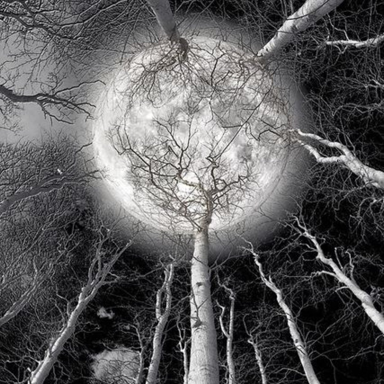 My goal: spread inspiration to those who need it and can find truth in this beautiful world.