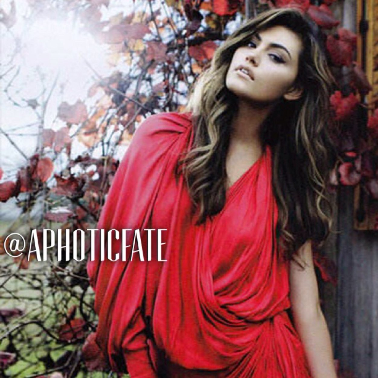 You want someone dead? Go ahead, kill me. I’d rather die anyway than end up as one of your sired little bitches. Andrea Lebonair. |#BSRP #TVD #RP #Mature|