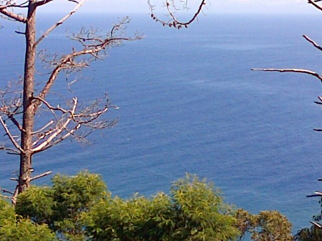 wilsoncsm's profile picture. 