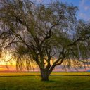 Betty Meier - @meier_bm - Twitter