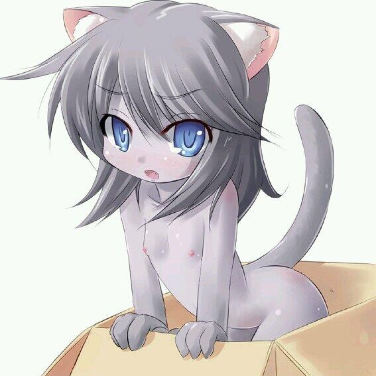 ~#single~a girl whos dose anything for your liking~ #cuddle~ im a kitten i love boxes~ never had any disaplin need to be tought~