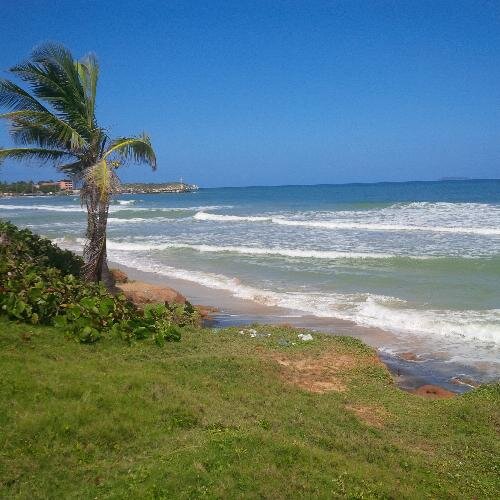 lucializ's profile picture. 