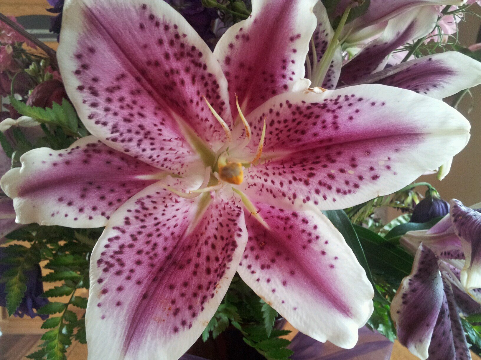 dmward69's profile picture. 