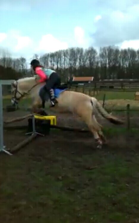 delany0507's profile picture. Love music