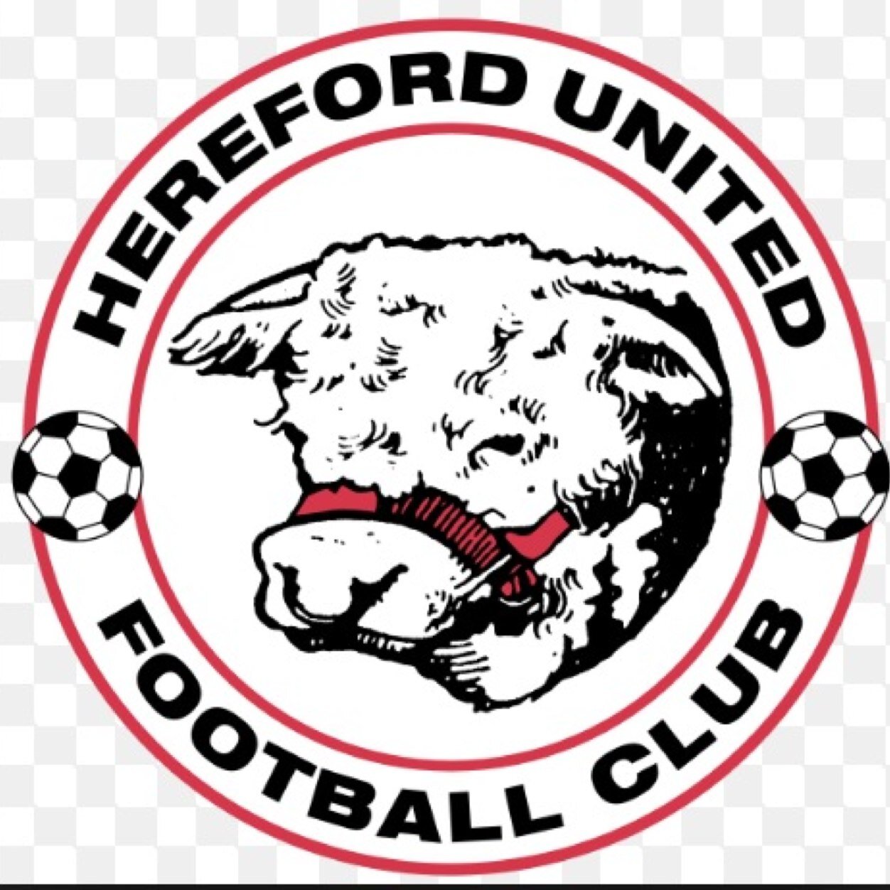 save_united's profile picture. 