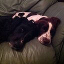 Penny Patrick - @pennyhpatrick - Twitter