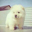 minerva saucedo - @MsmMinerva - Twitter