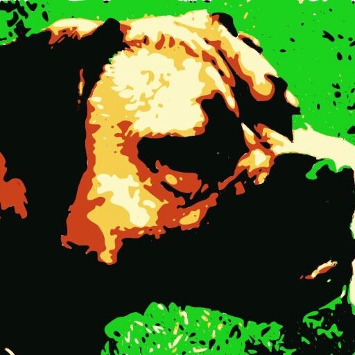 Pawsitive Paws Forever Rescue is an all-volunteer group dedicated to improving the lives of pit bulls, rottweilers, boxers and other bully breeds in Maine.